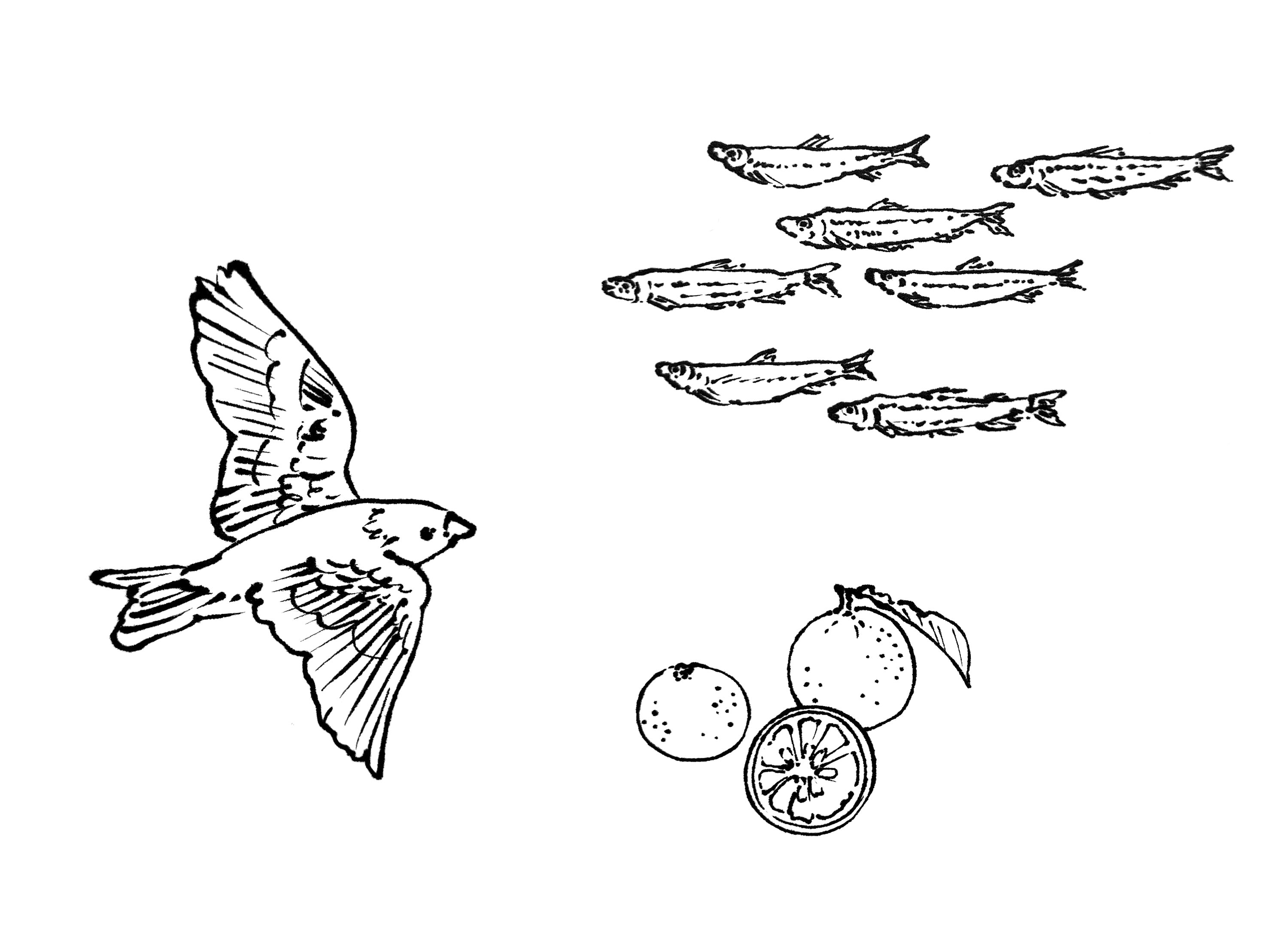 2024 二十四節気カレンダーの制作裏 ー季節の挿絵