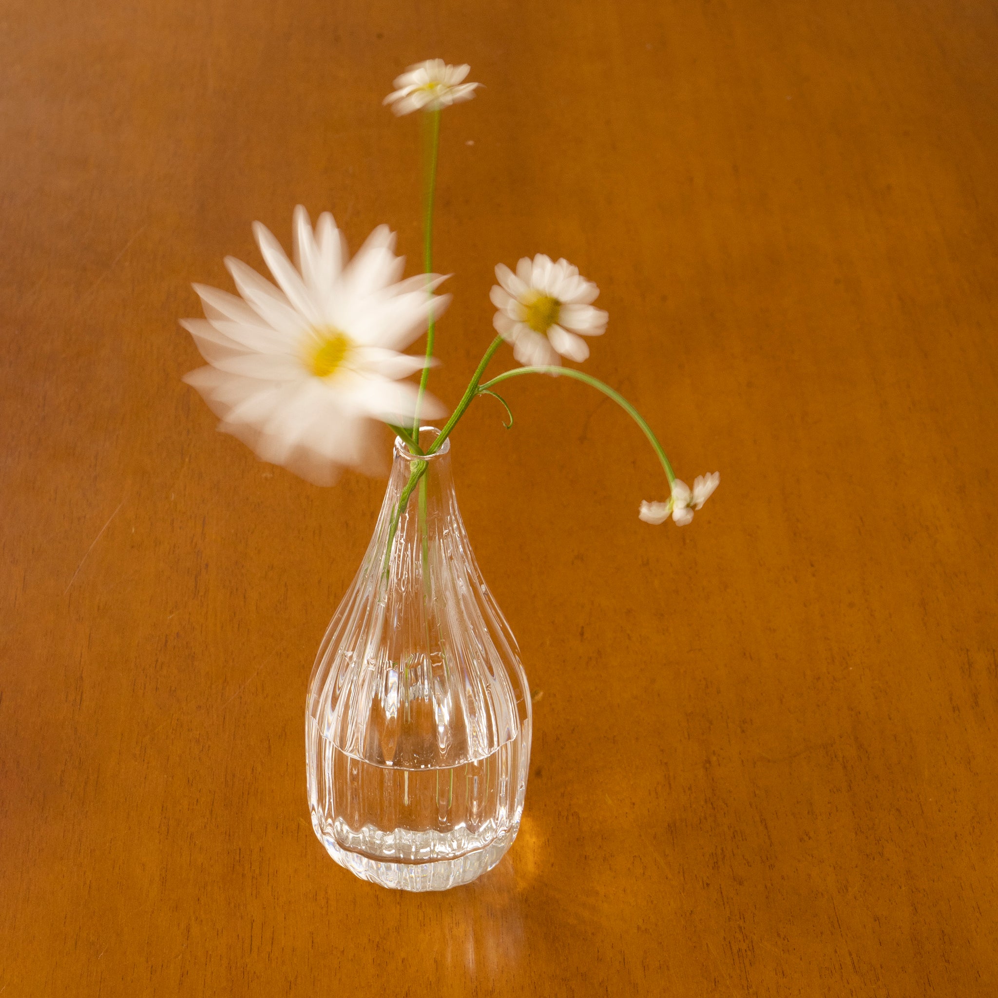 Petal
