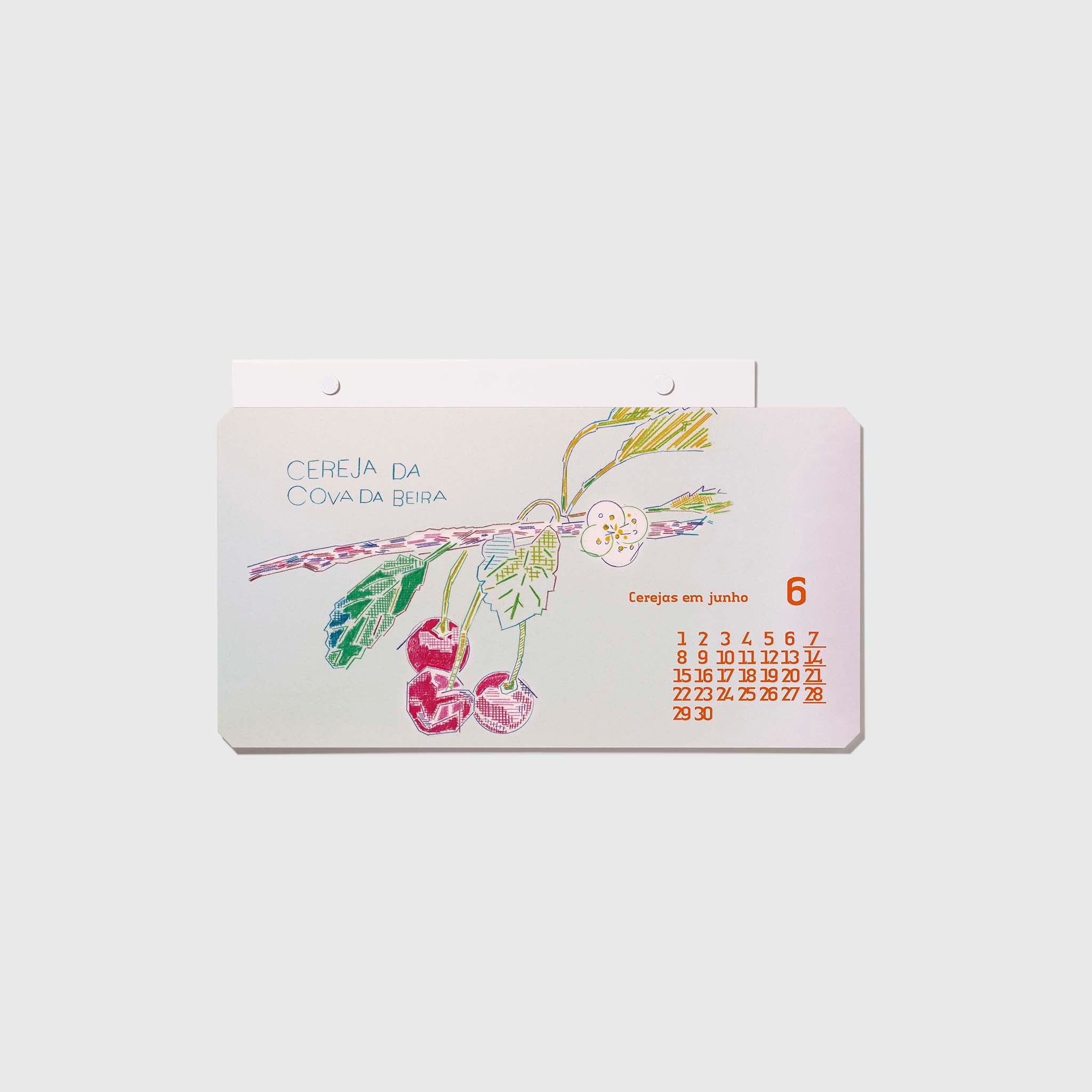 2026 World Travel Calendar