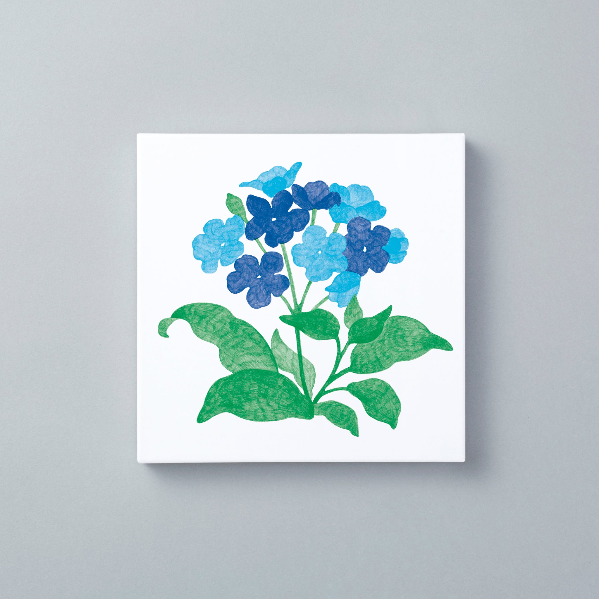 Flower Vase専用 Gift boxミニ イラスト シノグロッサム（箱のみ）